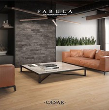 Fabula