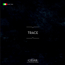 Trace
